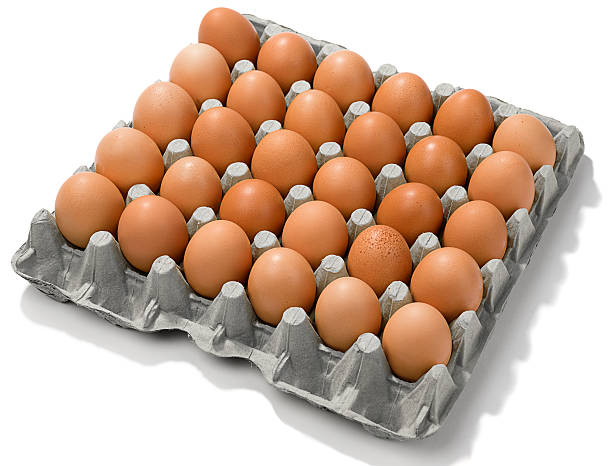 Googro large 30 eggs
