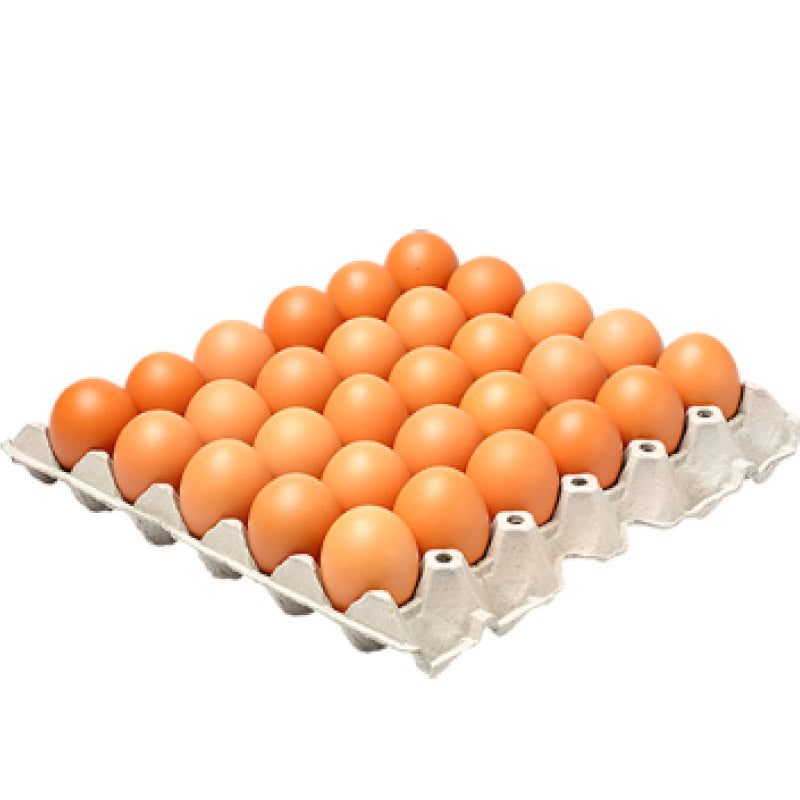 Googro jumbo 30 eggs
