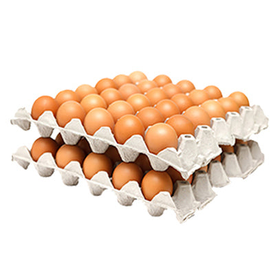 Googro 60 eggs large