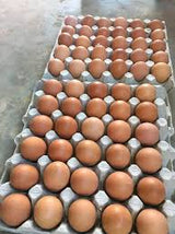 Googro 60 eggs jumbo